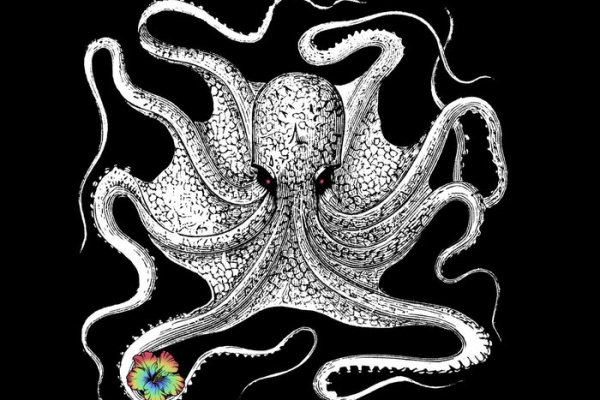 Kraken20at