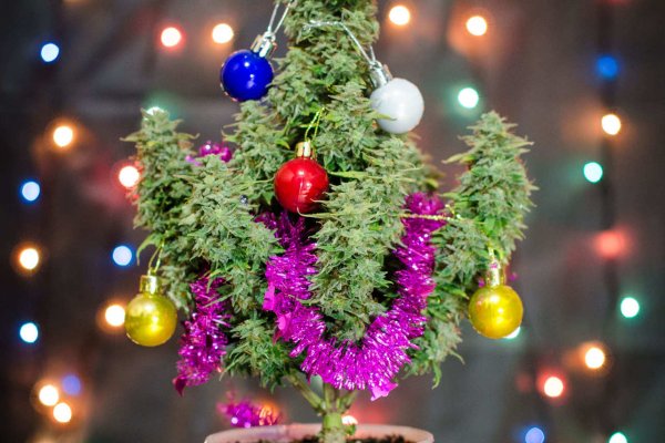 Ссылка на кракен kr2web in