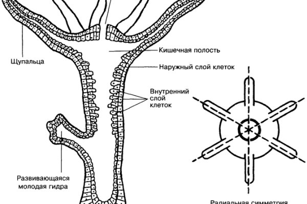 Купить наркотики онлайн