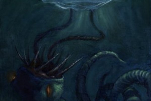Kraken 20at net