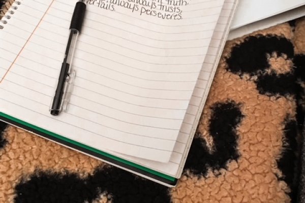 Где найти рабочую ссылку на кракен