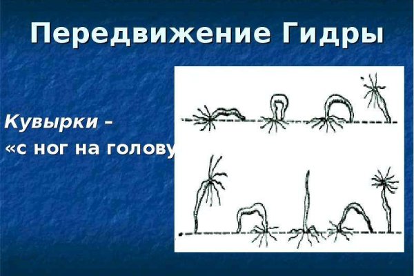 Кракен маркетплейс про