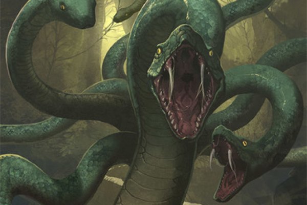 Kraken17 at