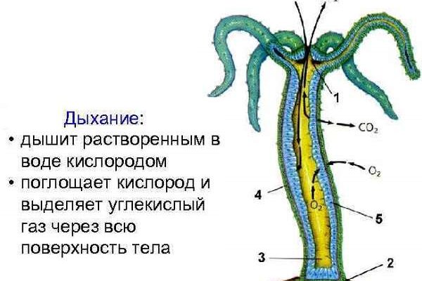 Купить наркотики москва