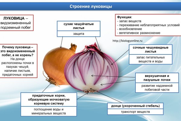 Kraken как найти ссылку