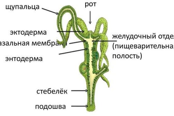 Кракен ссылка market pw